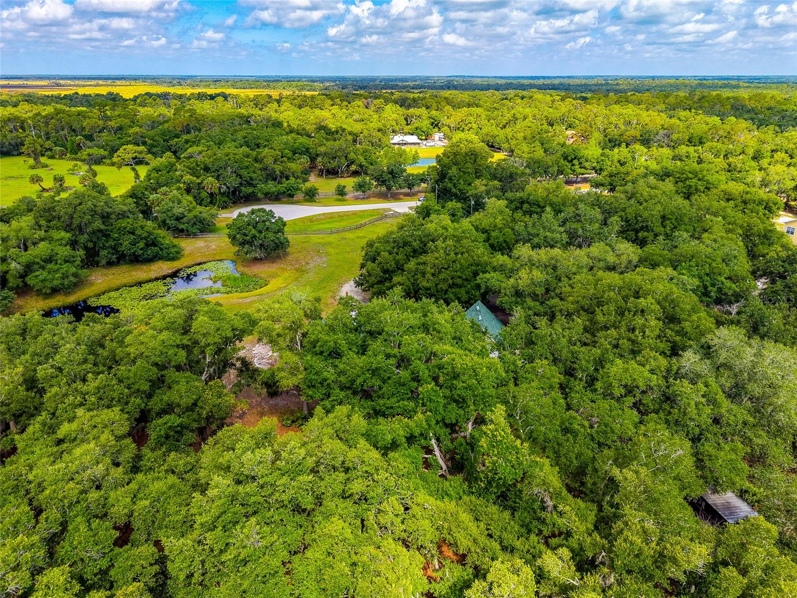 RANCHES AT MOSSY HAMMOCK - Residential