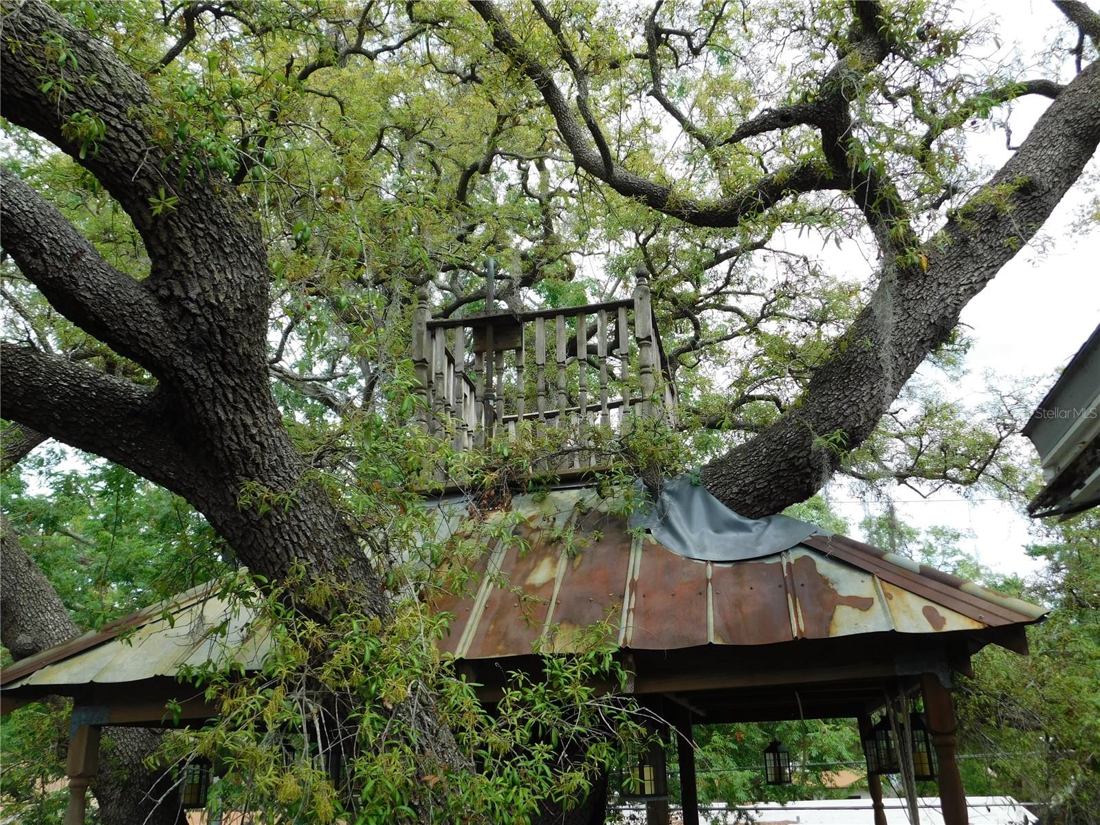 MIRA MAR TERRACE - Residential