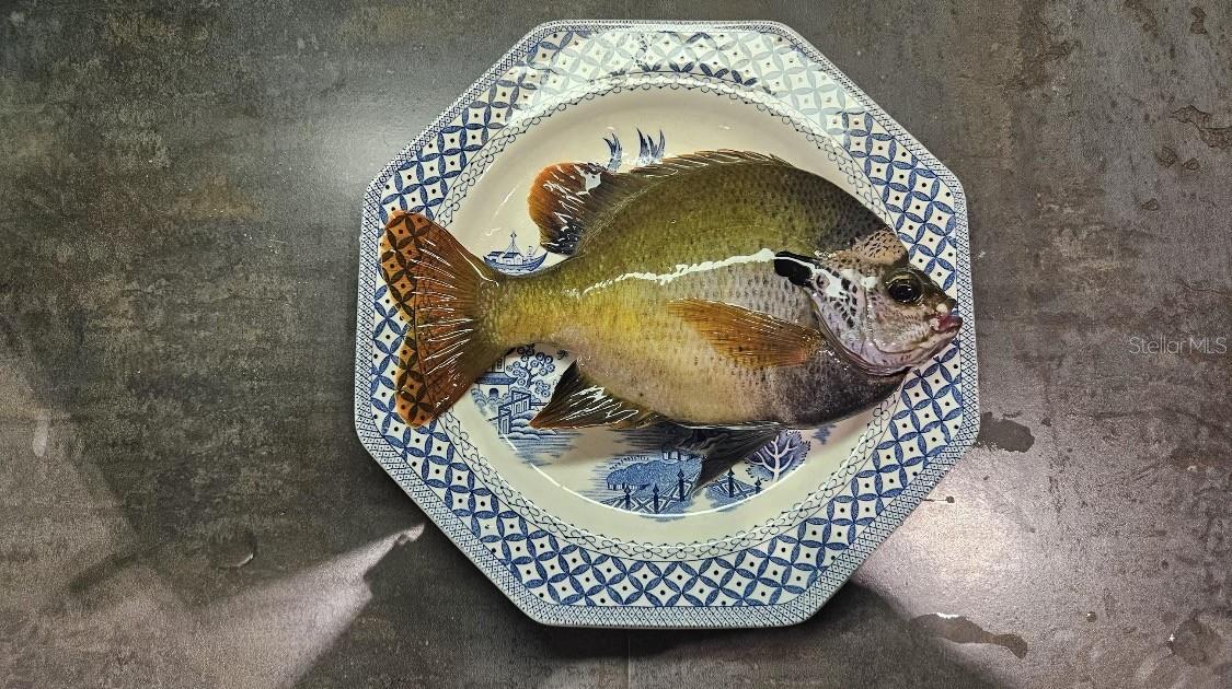 RIVER BEND ESTATES UNREC - Residential