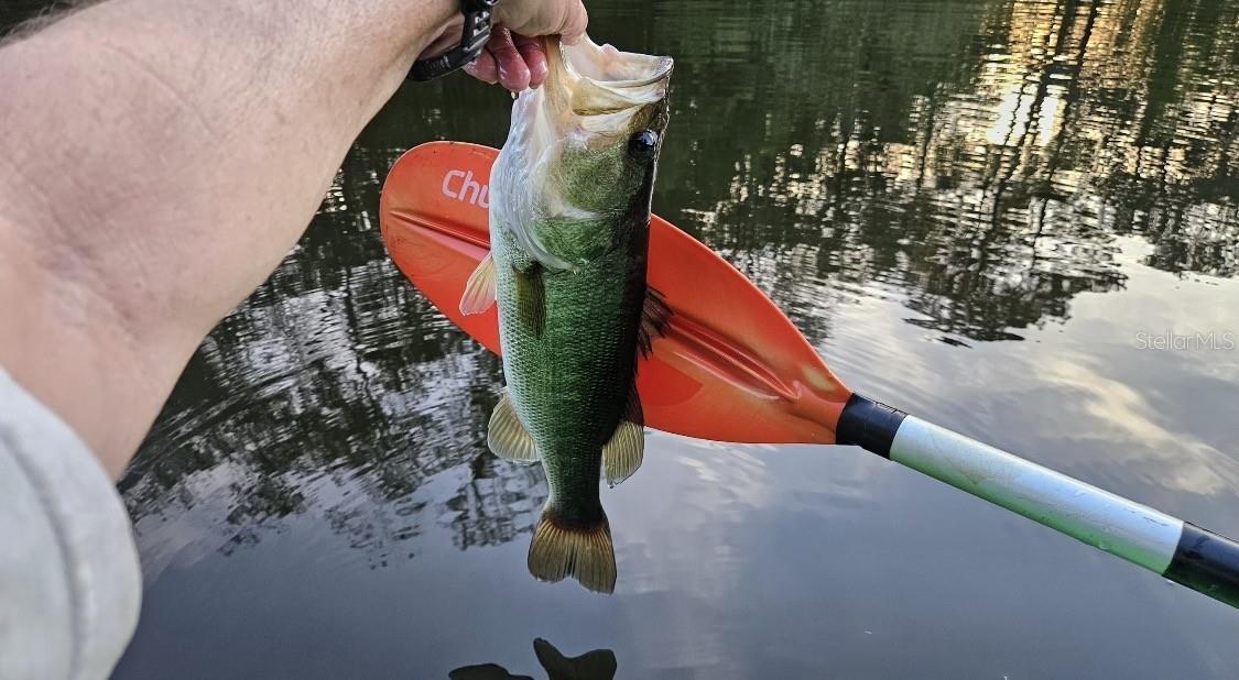 RIVER BEND ESTATES UNREC - Residential