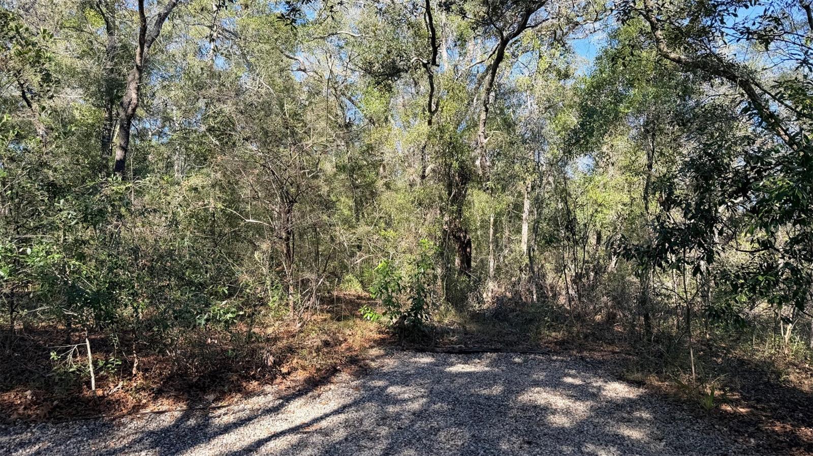 RIVER BEND ESTATES UNREC - Residential