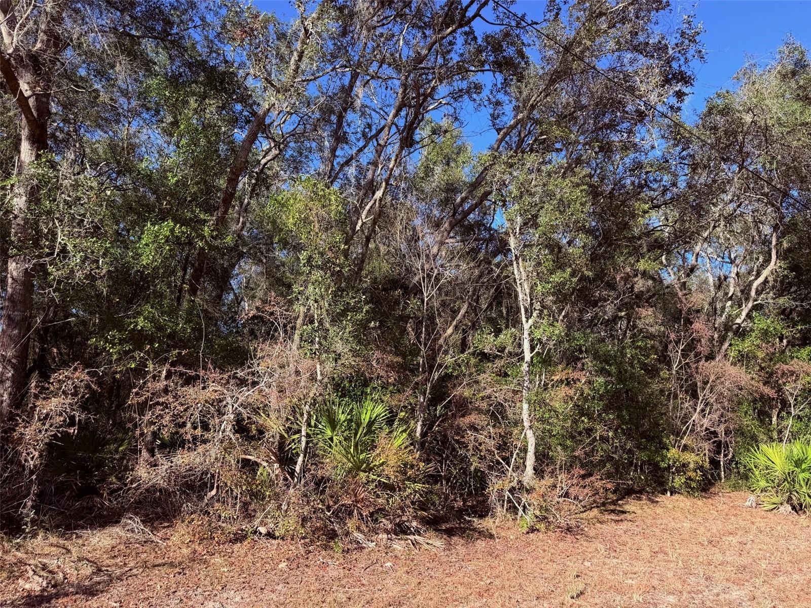 RIVER BEND ESTATES UNREC - Residential