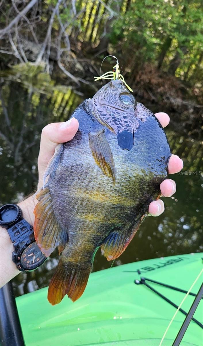 RIVER BEND ESTATES UNREC - Residential