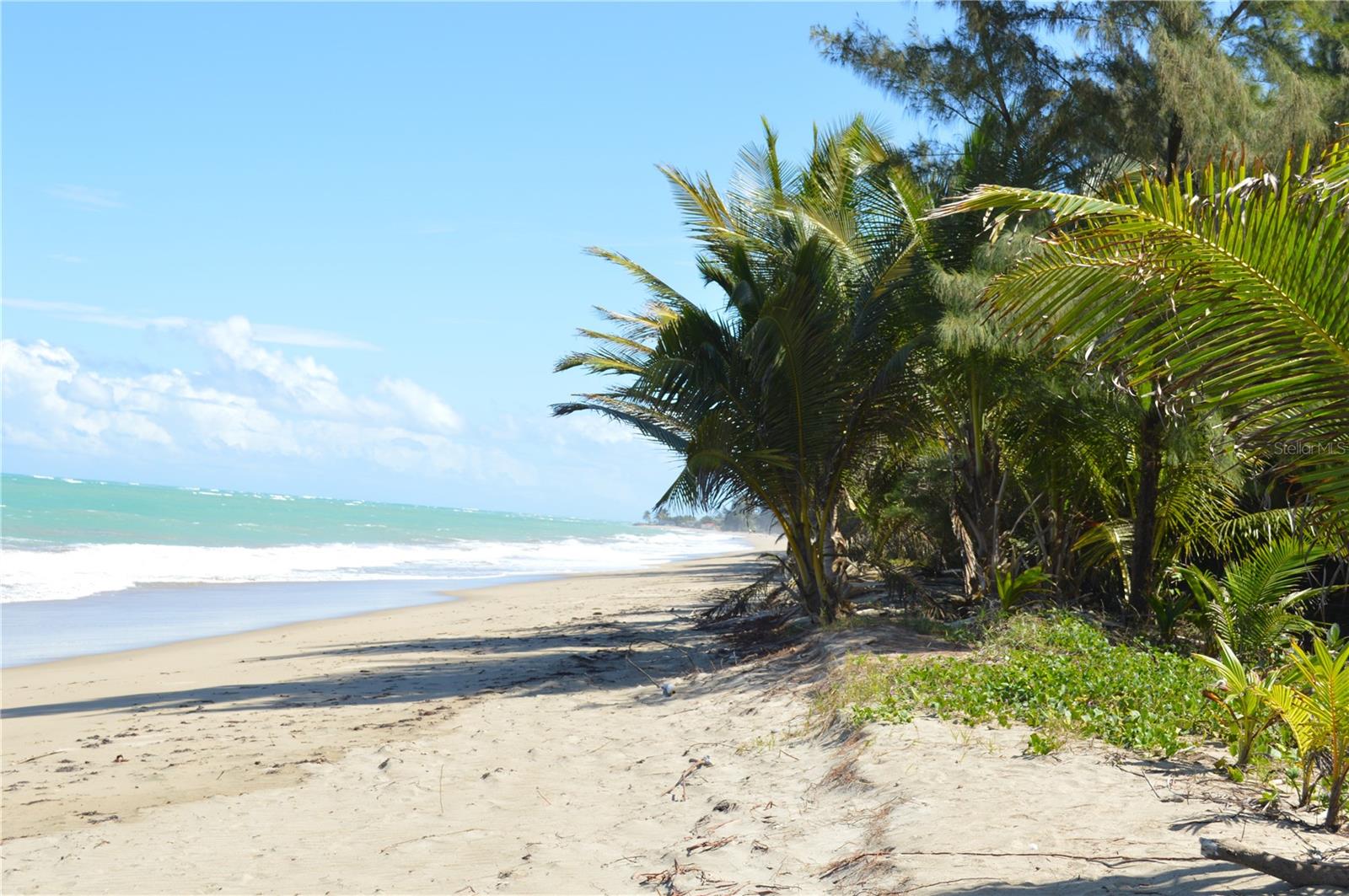 CONDOMINIO OCEAN POINT - Residential