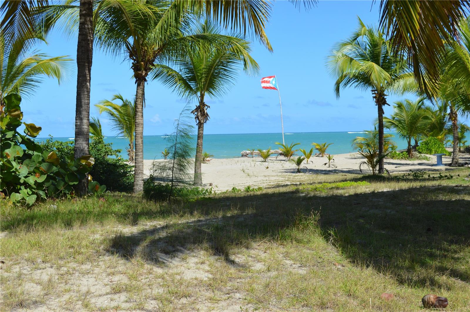 CONDOMINIO OCEAN POINT - Residential