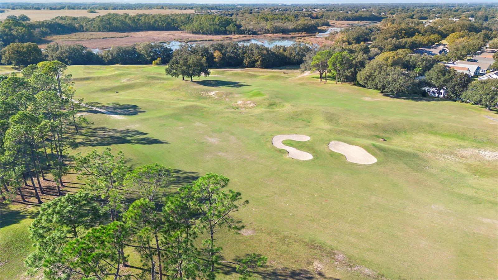 PLANTATION AT LEESBURG NOTTOWAY VILLAGE - Residential