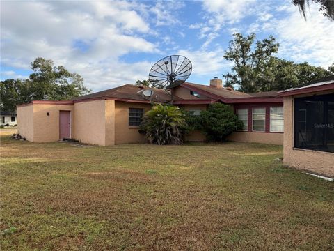 Photo of 3430 Wren Lane, Mulberry, FL 33860 (MLS # L4956946)