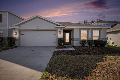 Photo of 18400 Hunters Meadow Walk, Land O Lakes, FL 34638 (MLS # TB8477791)