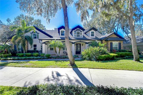 A home in LITHIA