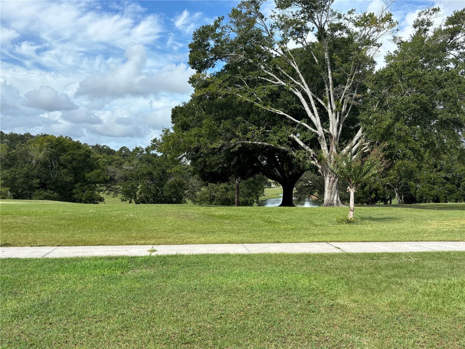 ZELLWOOD STATION COOP MH PARK - Residential