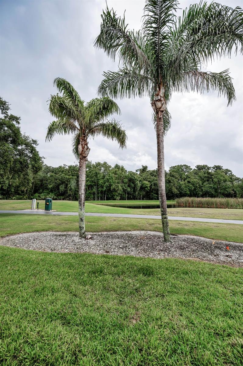 TIMBER GREENS PH 02A - Residential