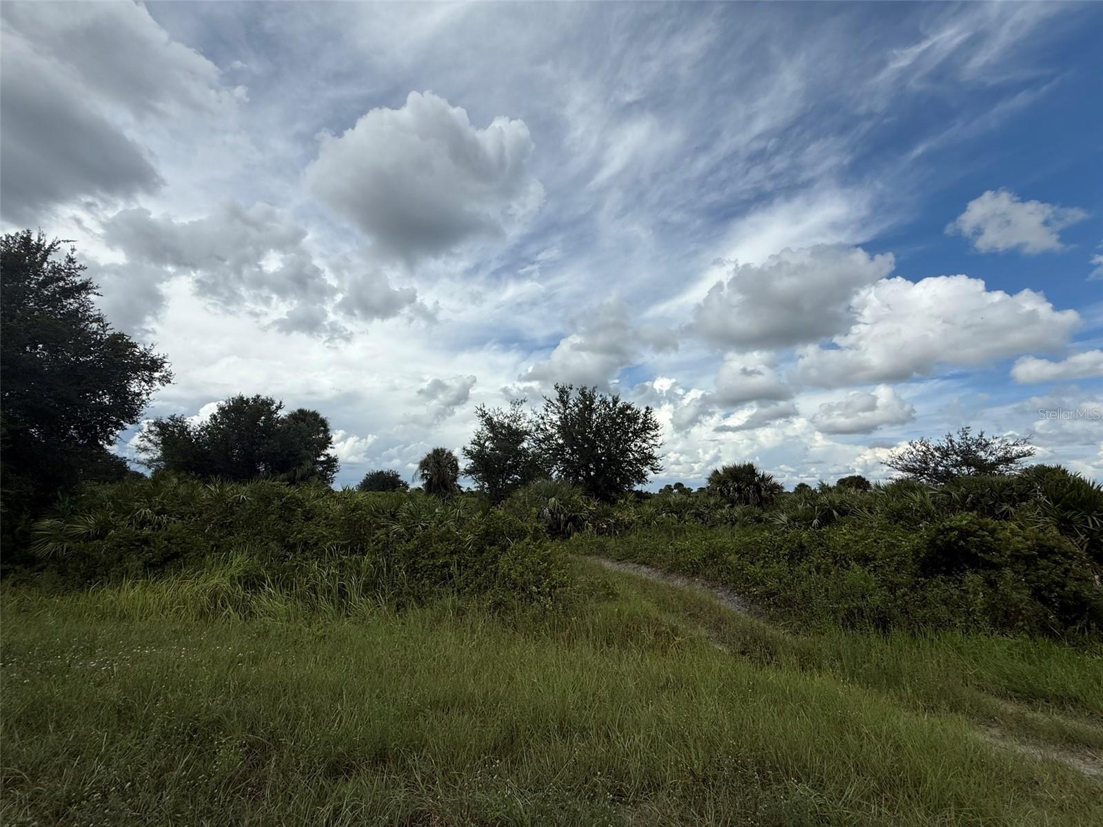 Own 1.25 acres in Prairie Viking with Res-AG zoning—perfect for a custom home, mobile home, or small farm. Farm animals, including chickens, are welcome! Enjoy country living with easy access to schools, shopping, and local amenities, plus nearby Florida state parks, mudding, fishing, and outdoor adventures. Ideal for investors or buyers ready to build now!