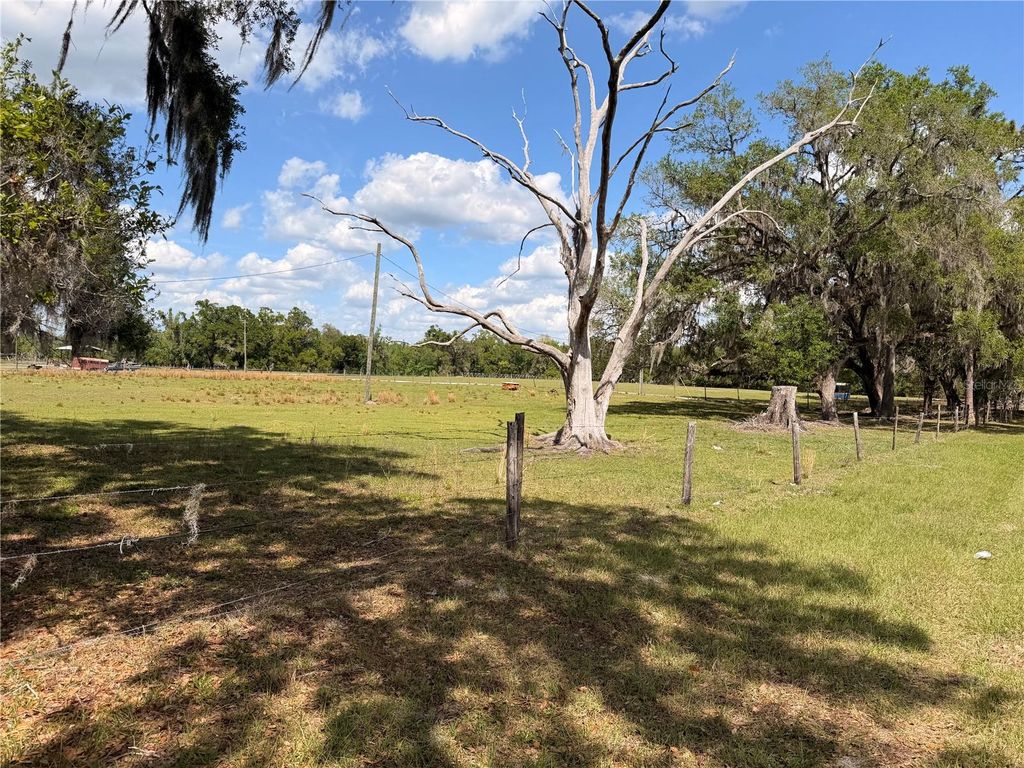 Photo of 20512 Ramer Road, Dade City, FL 33523 (MLS # TB8492667)