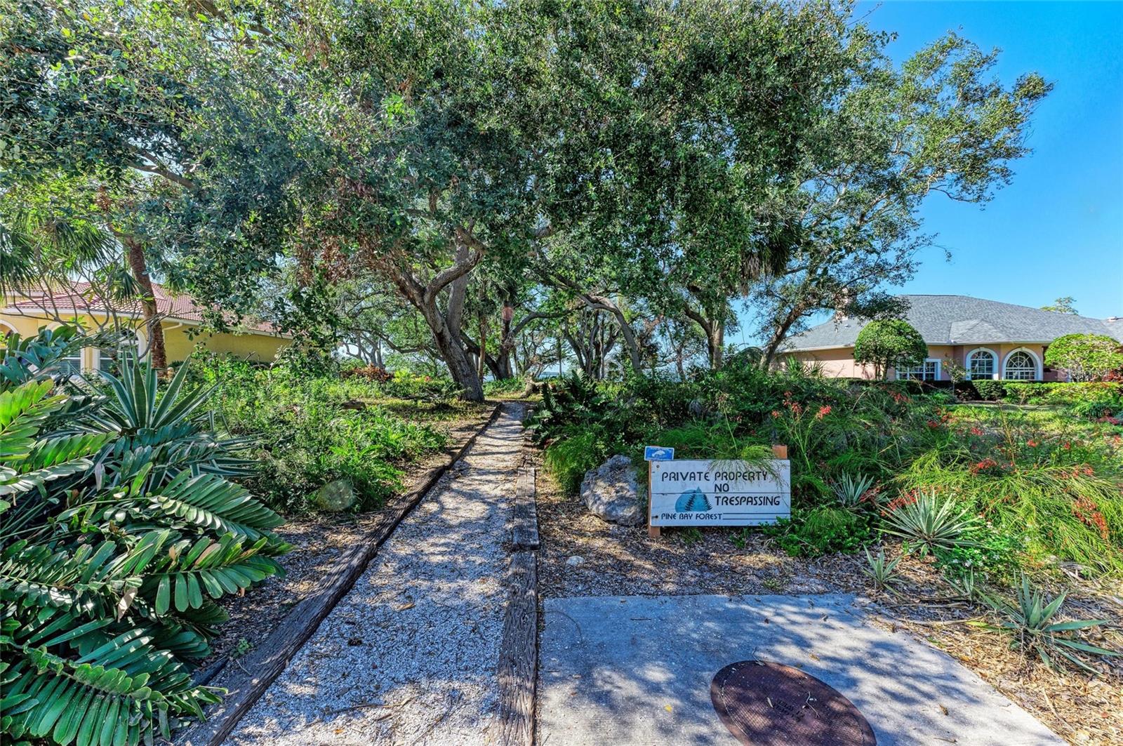 PINE BAY FOREST CONDO - Residential