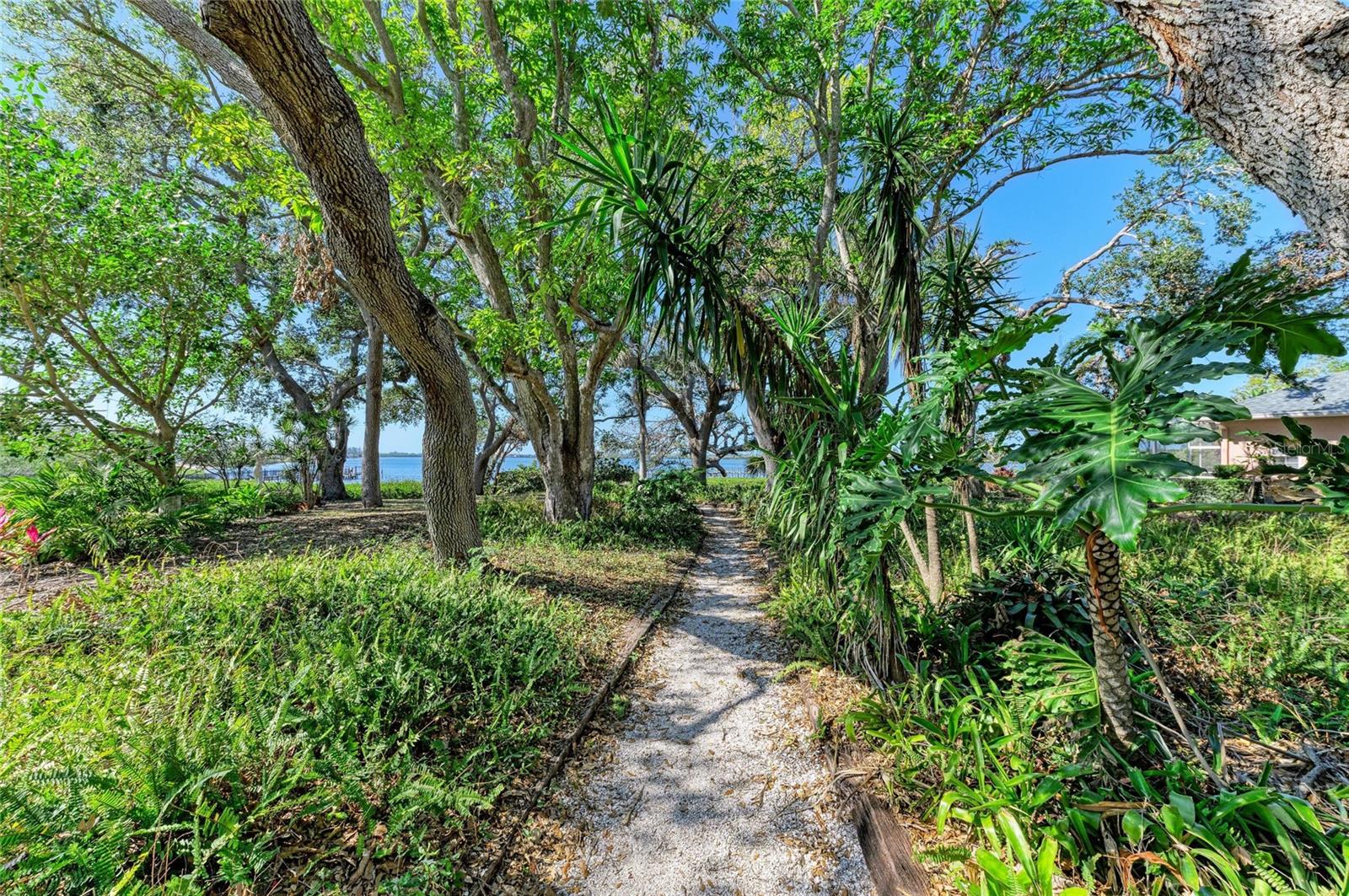 PINE BAY FOREST CONDO - Residential