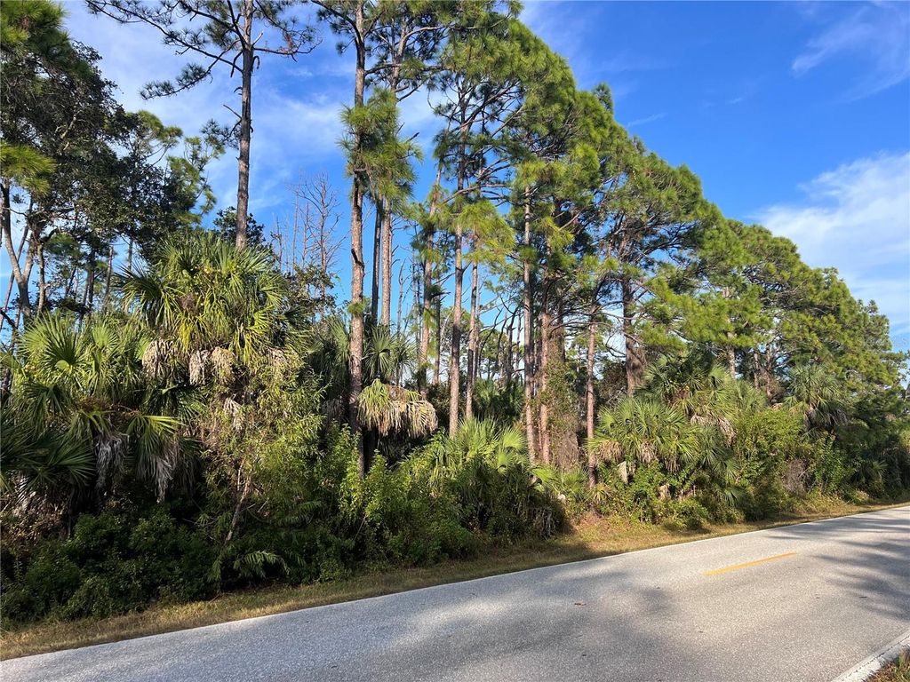 Photo of 13486 Chamberlain Boulevard, Port Charlotte, FL 33953 (MLS # A4673582)