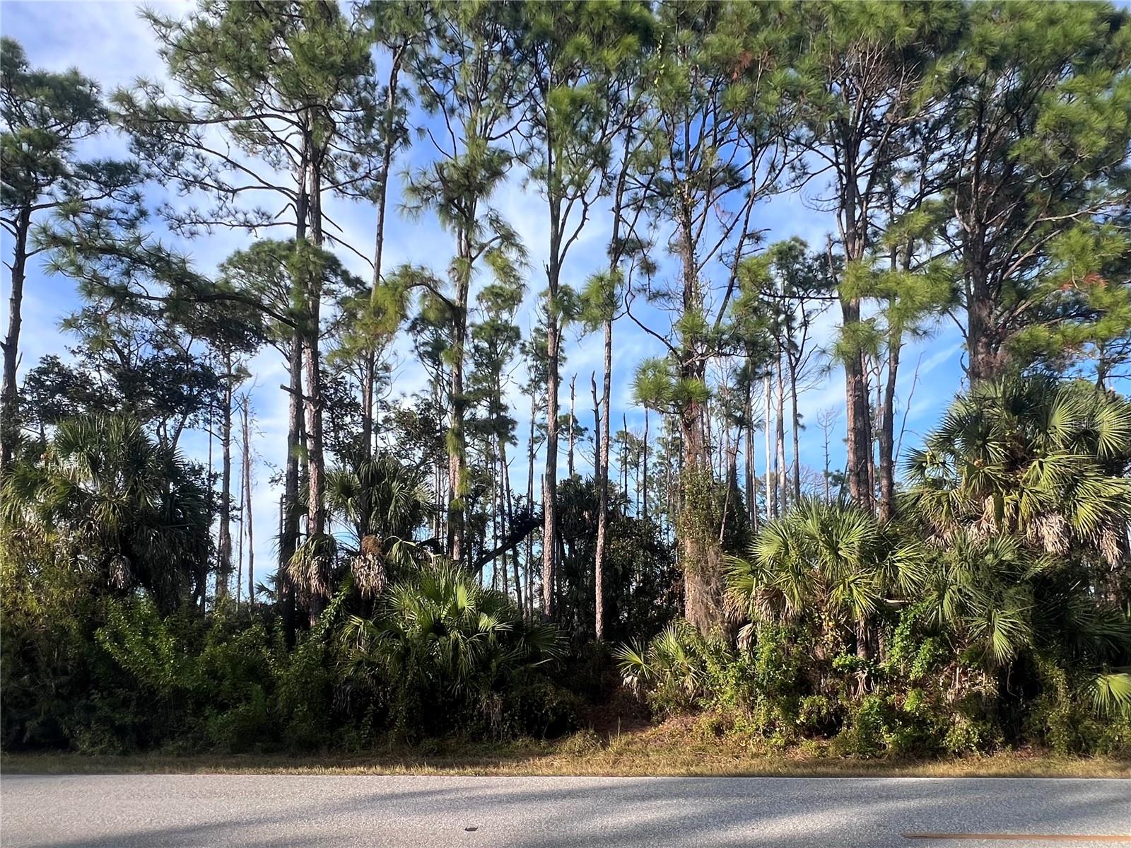 PORT CHARLOTTE SEC 024 - Land