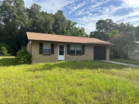 Photo of 1215 E Hazzard Avenue, Eustis, FL 32726 (MLS # G5070860)