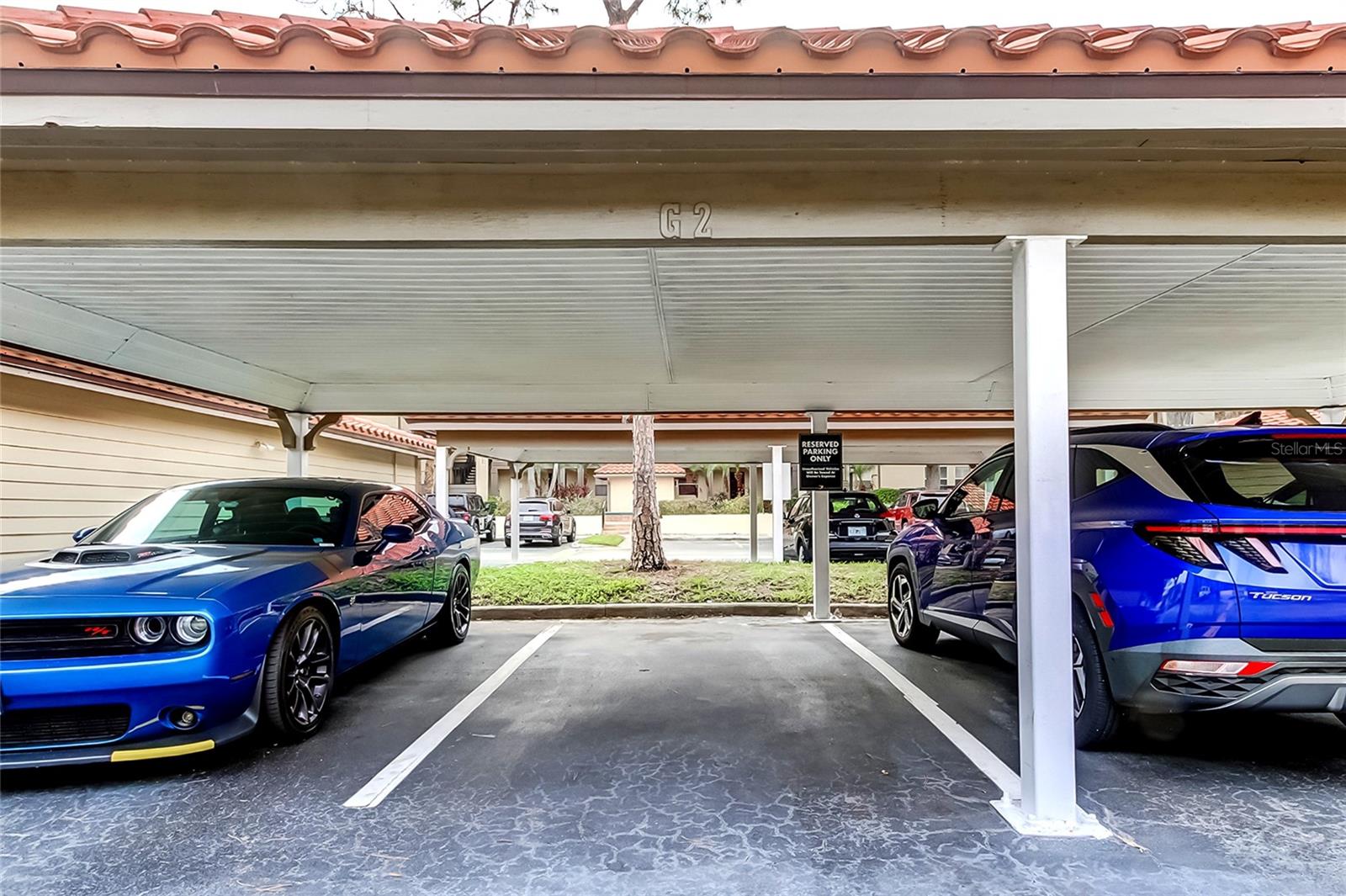 AUDUBON CONDO AT FEATHER SOUND - Residential