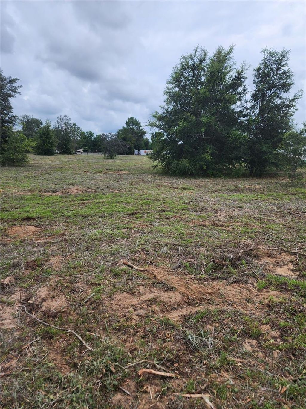 Photo of 4975 E Triss Street, Inverness, FL 34452 (MLS # TB8420553)