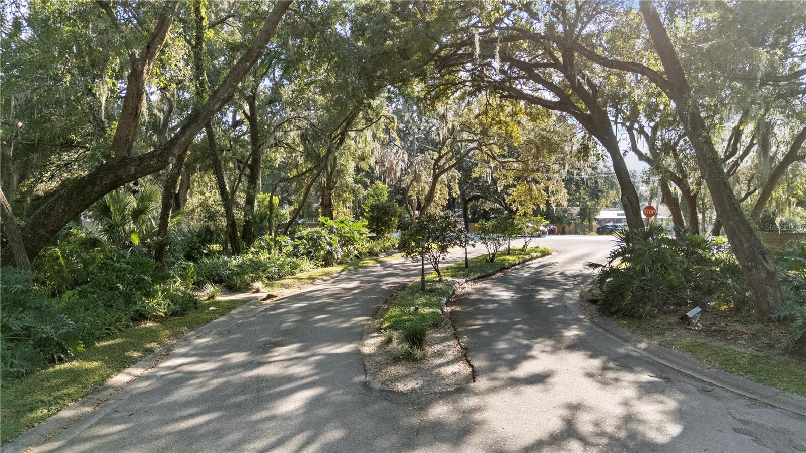 CHELSEA WOODS - Residential