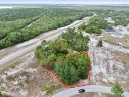 POINCIANA NBRHD 02 WEST VILLAGE 07 - Land