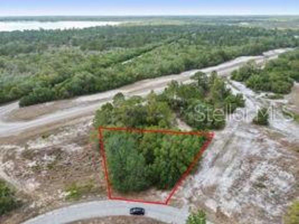 Photo of 1329 Homosassa Court, Kissimmee, FL 34759 (MLS # O6374349)