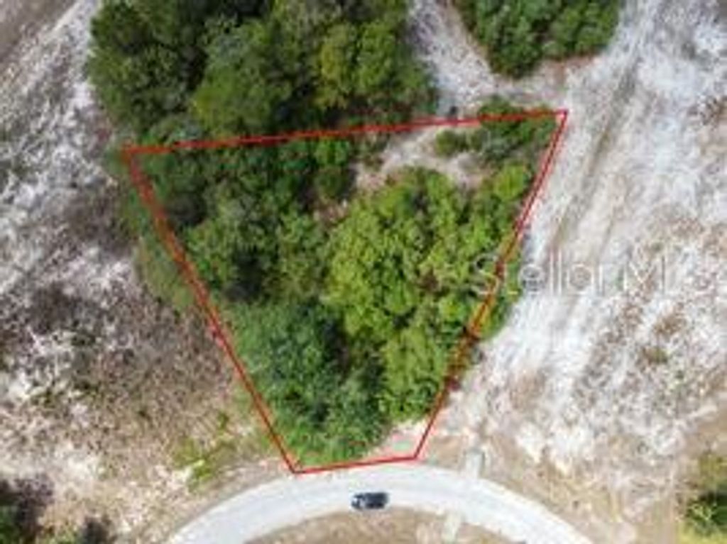 Photo of 1329 Homosassa Court, Kissimmee, FL 34759 (MLS # O6374349)