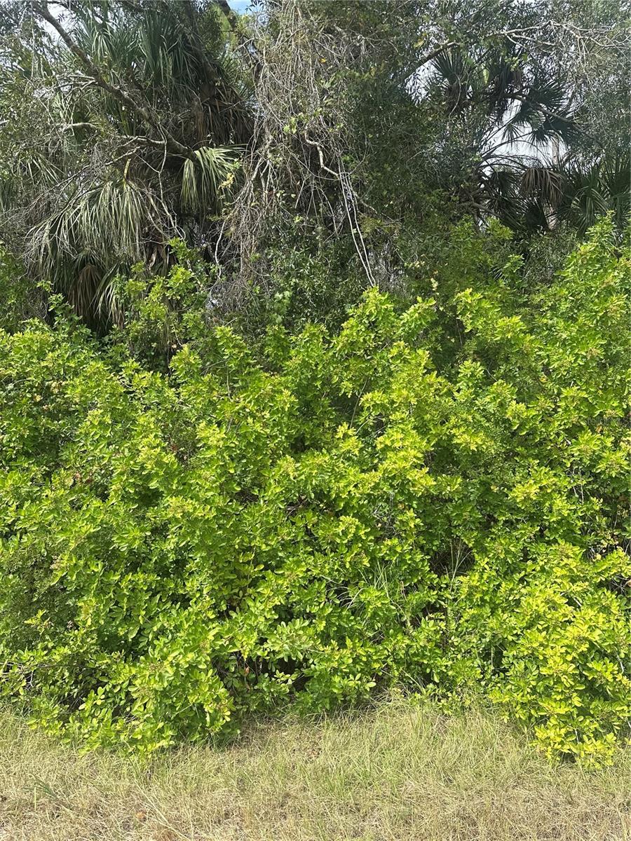 PORT CHARLOTTE SUB 47 - Land