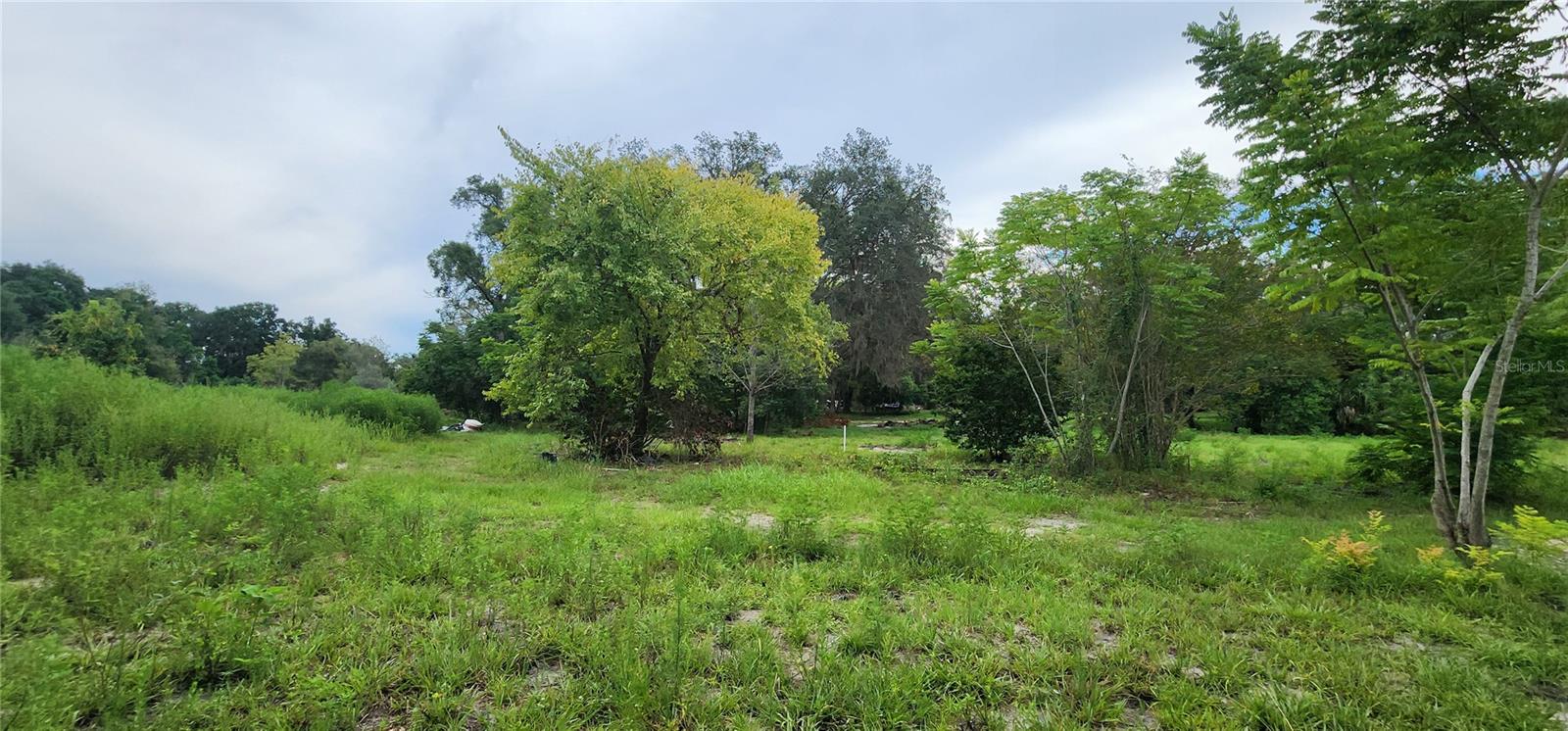 ORANGE CITY DELAND FARMS - Residential