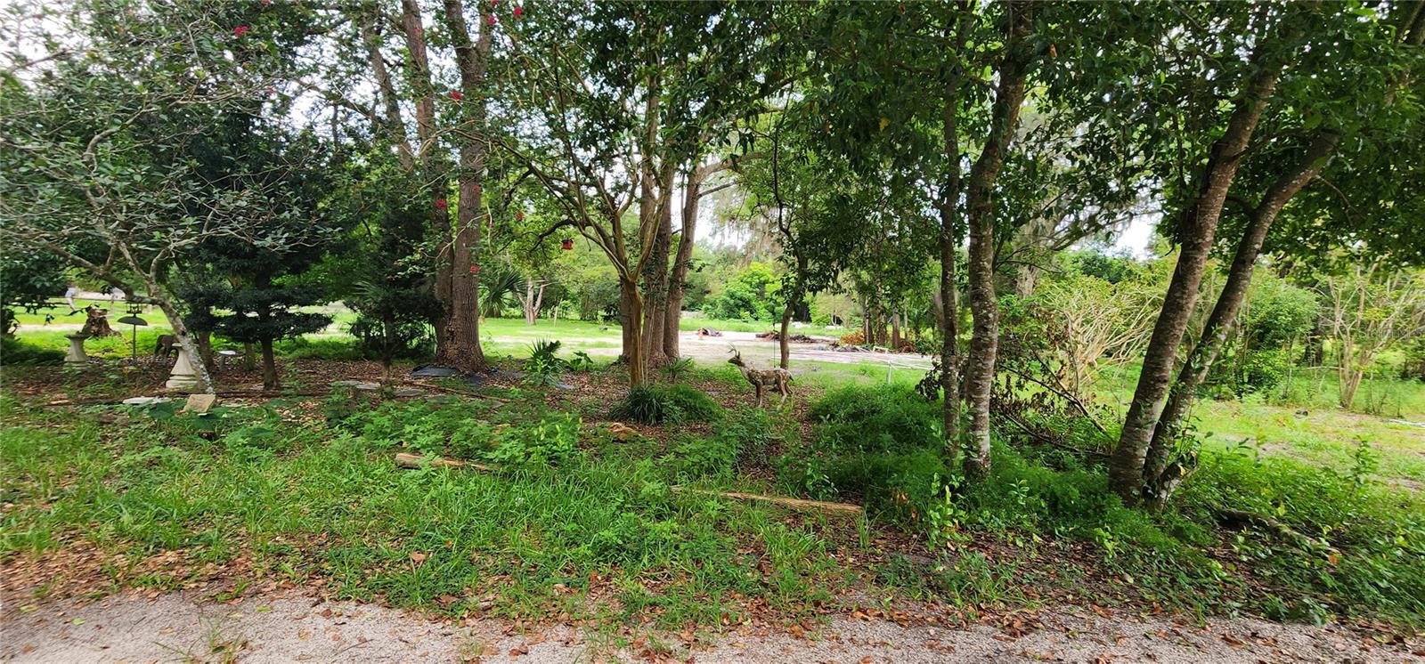 ORANGE CITY DELAND FARMS - Residential