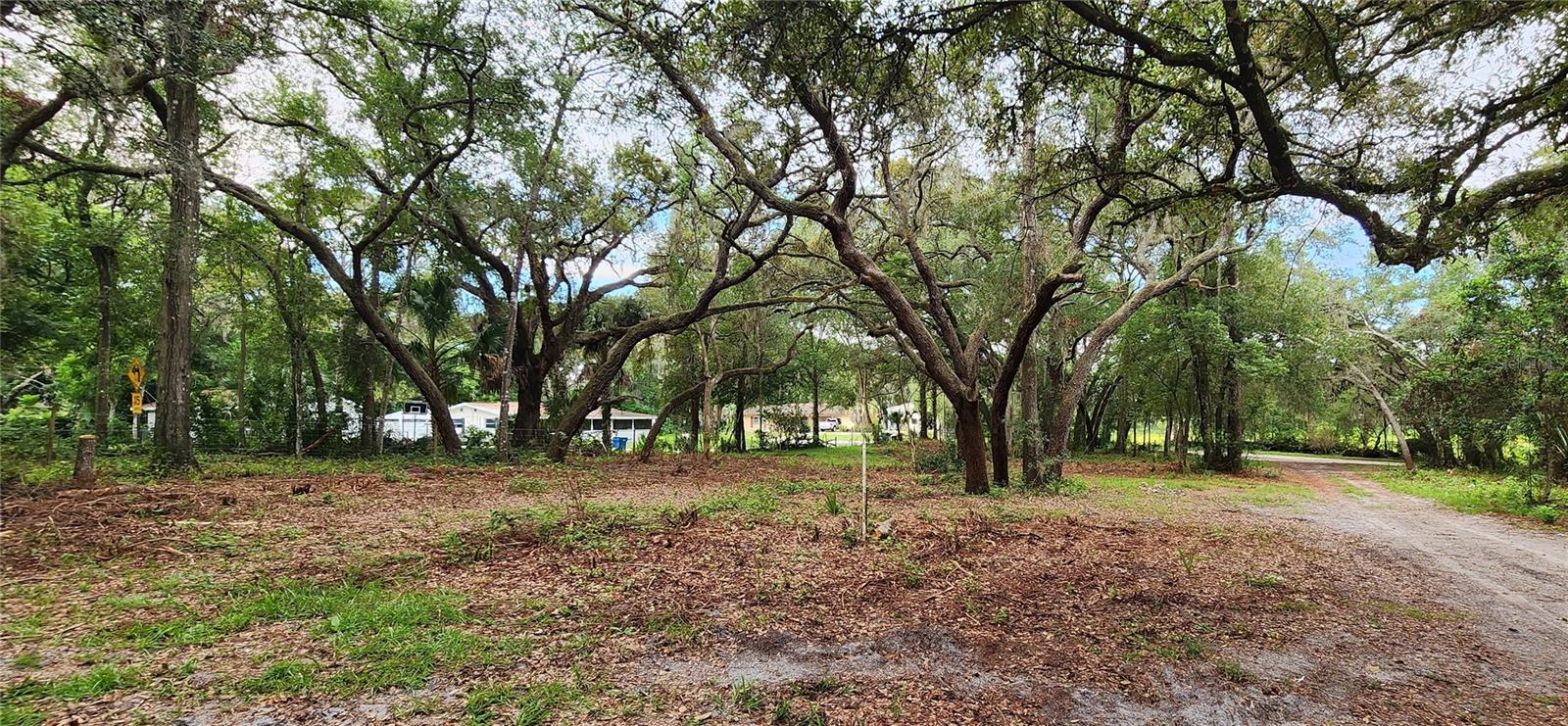 ORANGE CITY DELAND FARMS - Residential