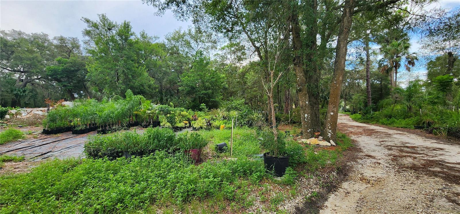 ORANGE CITY DELAND FARMS - Residential