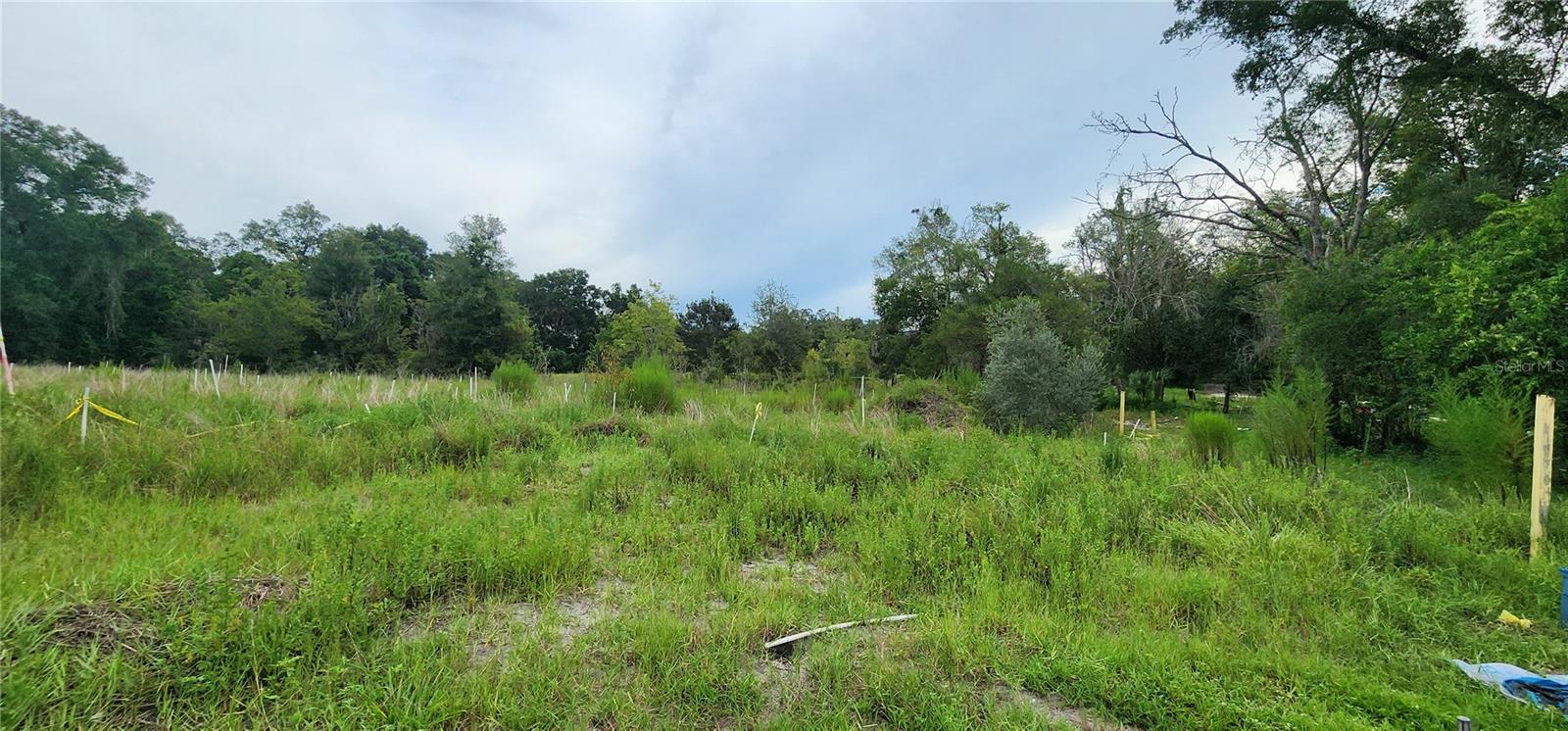 ORANGE CITY DELAND FARMS - Residential