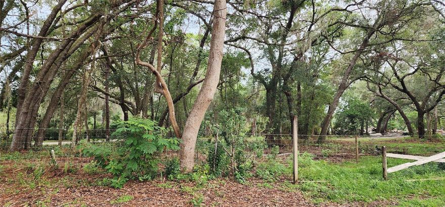 Nestled at 711 Sunset Avenue in Orange City, Florida, this 10-acre parcel offers a rare opportunity combining serene country charm with unbeatable convenience. The property currently features a cozy one-bedroom, one-bath residence with an attached garage, ideal as a starter home, guest house, or base while future plans unfold. With its gently rolling terrain and tranquil setting, the land is perfectly suited for those dreaming of a private retreat, equestrian estate, or multi-generational family compound. Just minutes from shops, schools, and local activities yet tucked away from major traffic, the location balances peace and accessibility. Residents can explore the crystal-clear springs at Blue Spring State Park, enjoy boating on the St. Johns River, or soak in the historic charm of Cassadaga and downtown DeLand. The property is also convenient to Stetson University, DeLand Municipal Airport, Daytona Beach, and only about 45 minutes to Disney World. For developers, the acreage and location present a unique opportunity to design a boutique residential subdivision, meeting the demand for new homes in a highly desirable corridor of Central Florida. Whether for personal enjoyment or investment, 711 Sunset Avenue is a versatile canvas ready to fulfill a wide range of visions.