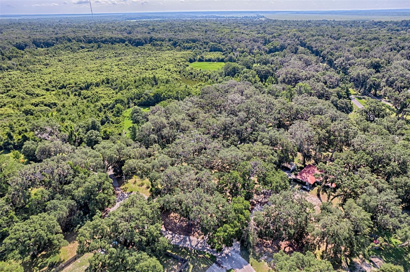 GATOR GETAWAY - Residential