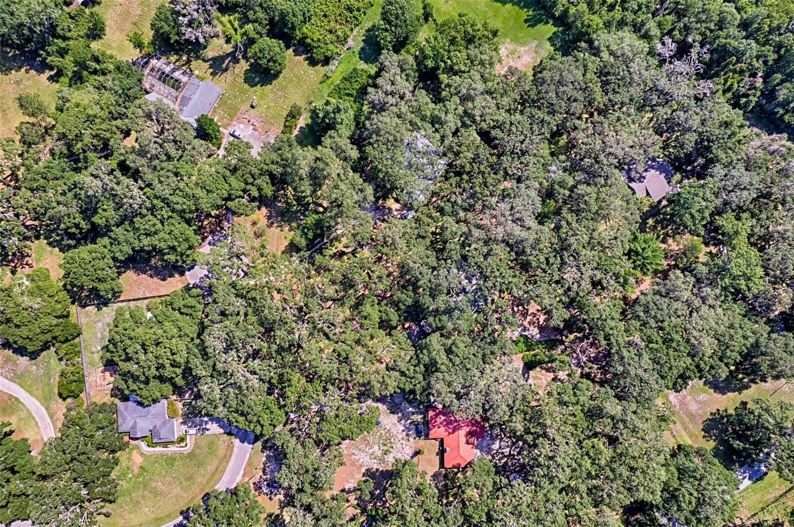 GATOR GETAWAY - Residential