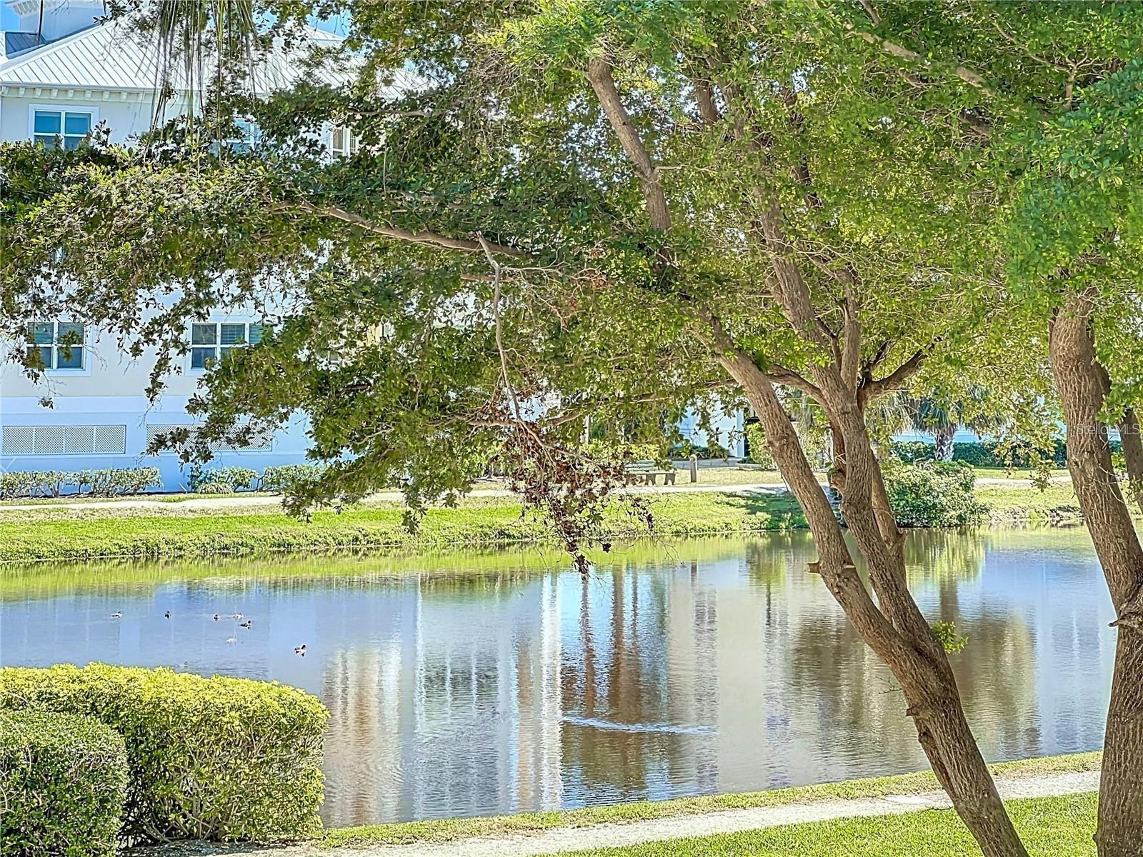 PALMA SOLA BAY CLUB PH 8 - Residential