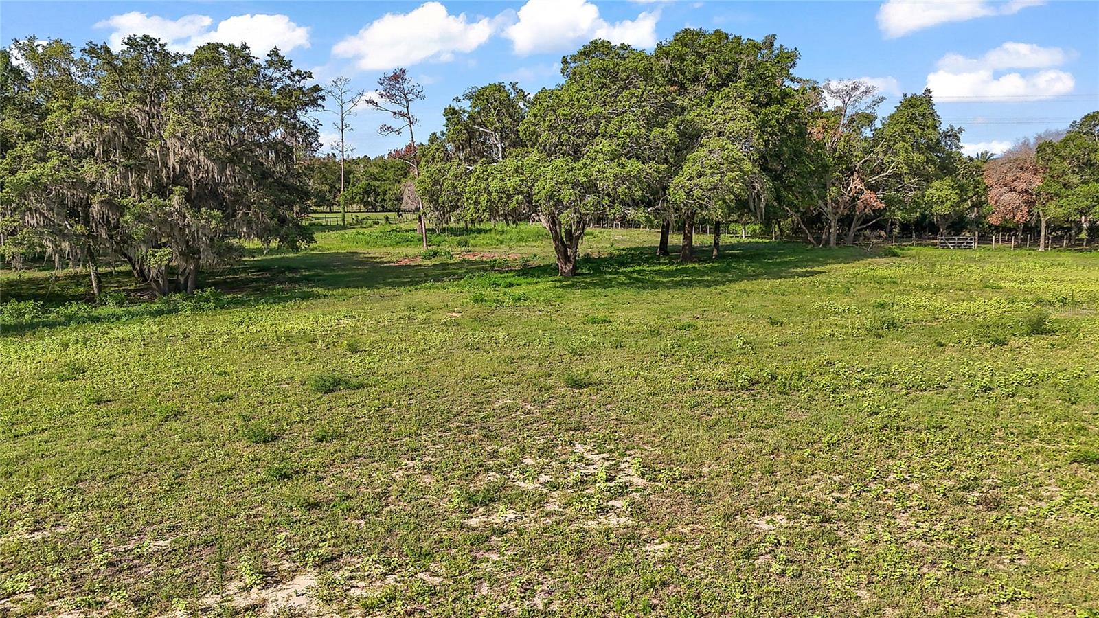 LAKE AVALON GROVES - Land