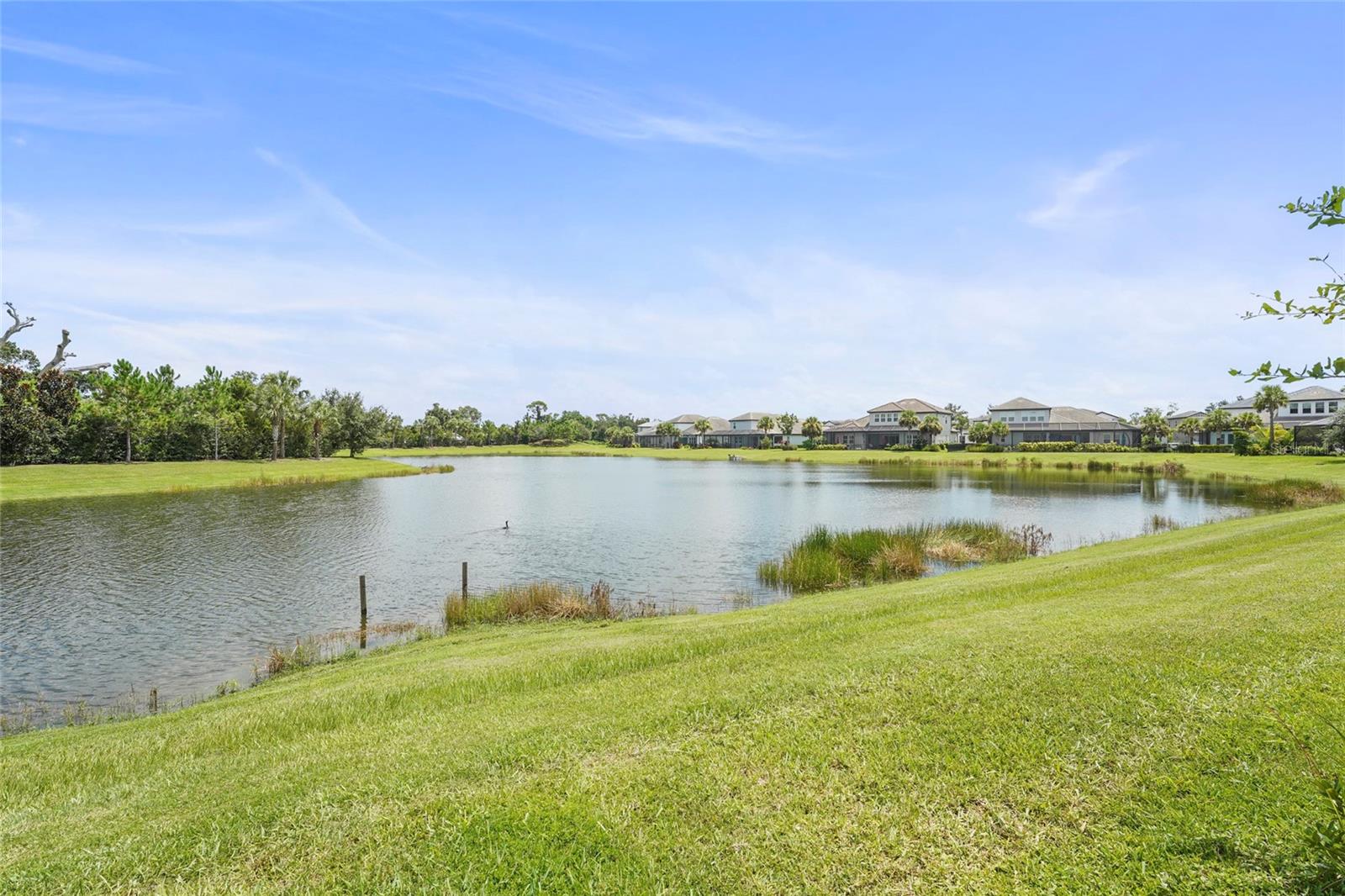 RIVO LAKES PH 2 - Residential