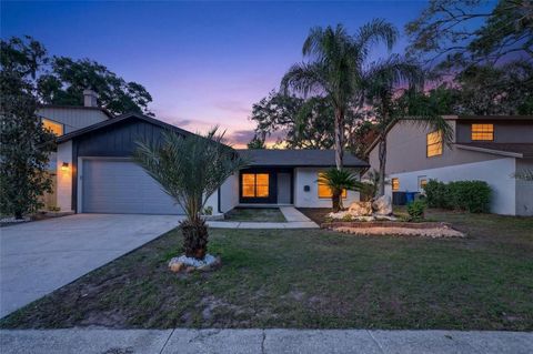 14841 OAK VINE DRIVE LUTZ FL 33559
