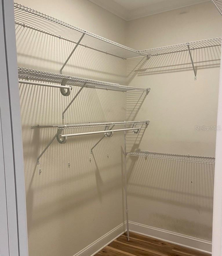 GEORGETOWN AT CELEBRATION - Residential