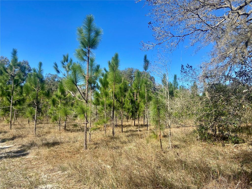 Photo of 2 Unnamed, Spring Hill, FL 34610 (MLS # TB8437668)