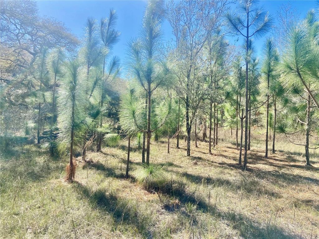 Photo of 2 Unnamed, Spring Hill, FL 34610 (MLS # TB8437668)