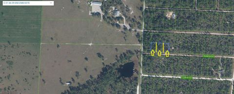 3253 GRAMATAN AVENUE LAKE PLACID FL 33852