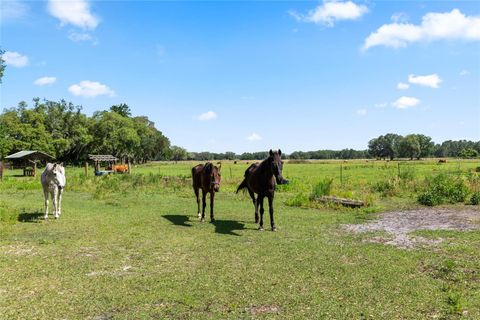 Tiny photo for SE 51st Lane, Center Hill, FL 33514 (MLS # G5108385)