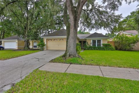 A home in VALRICO