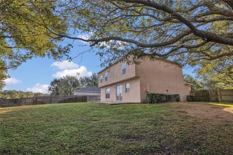 A home in APOPKA