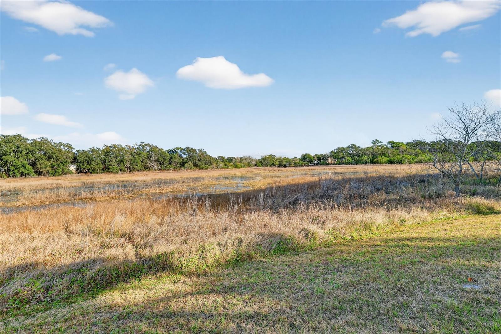 THE PLANTATION AT LEESBURG - Residential