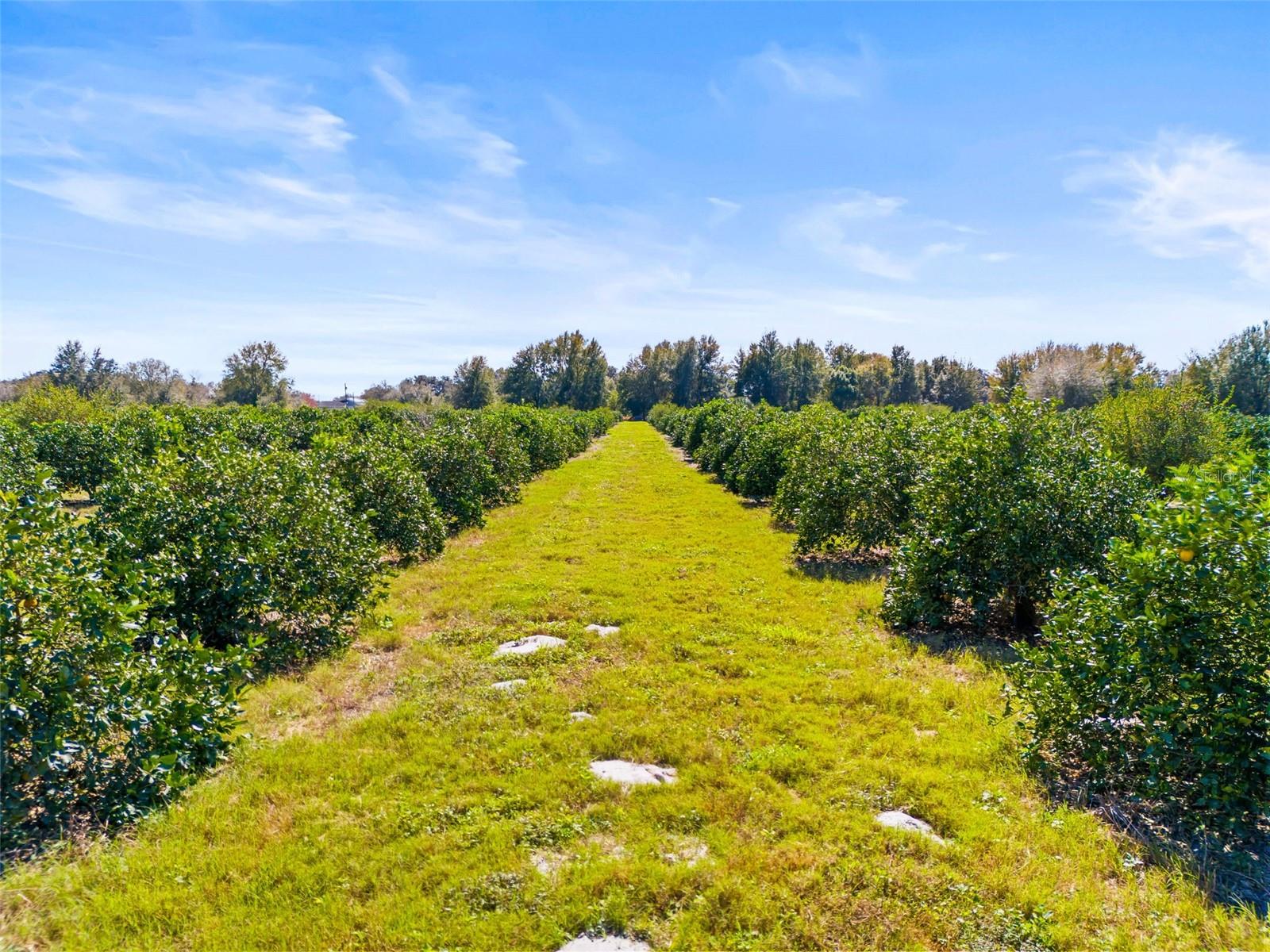 35538 FAIRVIEW HEIGHTS ROAD